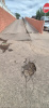 заводской 12_20