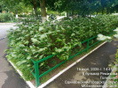 Ремезова 8_5